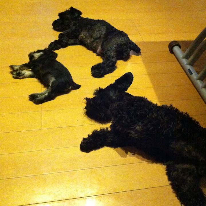 769e5646 1be1 40cc 87d2 ca2fef38fff7 1587543435220