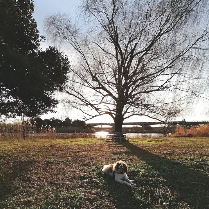 769ebe6f aa3e 485b 9d54 17a7b4e84dc4 1579334950315