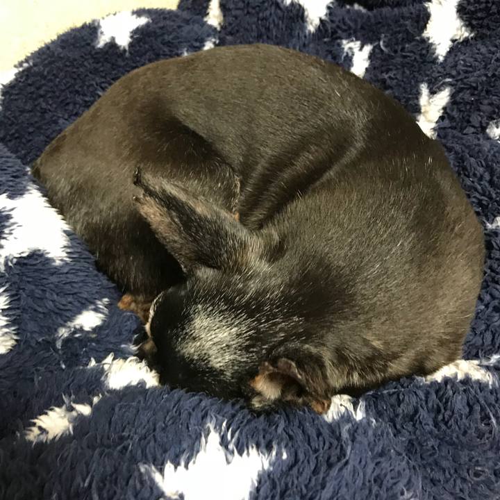 769ec024 b4be 4880 8607 e36b8bb0884a 1553267114038