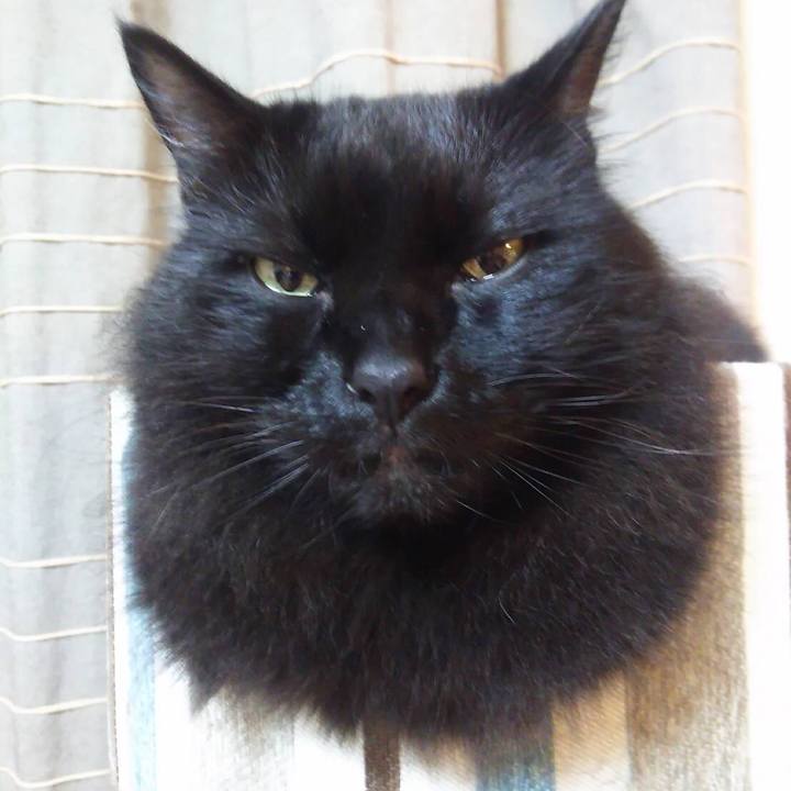 769eff3d 12e8 4fd0 bde7 8e2e289c76b5 1572407888452