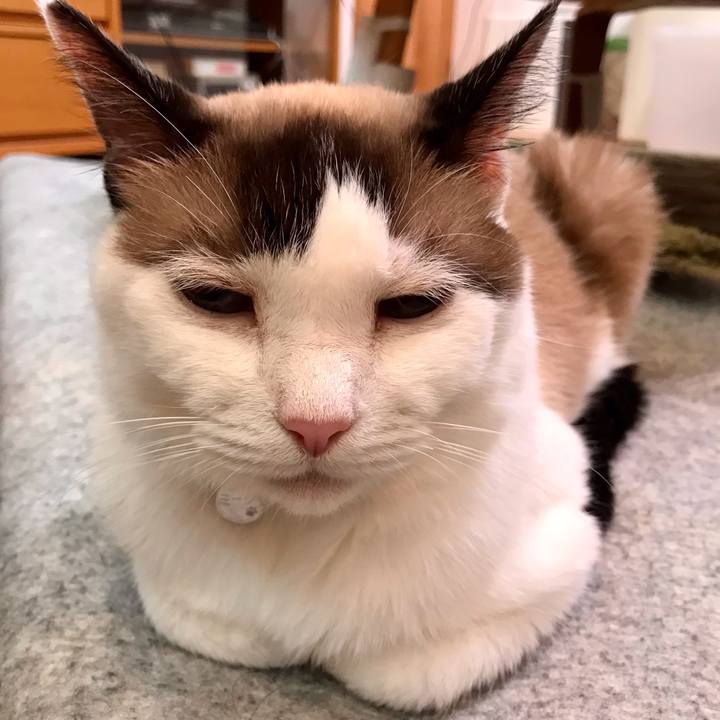 769f1b83 efe6 41bd a29a 054ae58f43c3 1628512064581