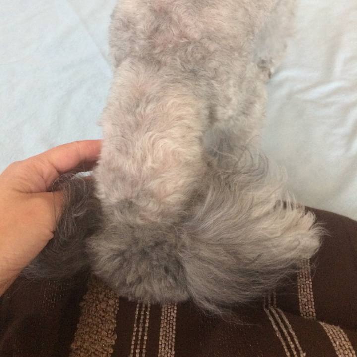 769f4310 f0bf 4459 b875 8e848cc816d0 1515971703992