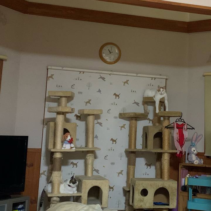 769f80b9 a572 46bb b69c 5ff8ddb99d6e 1592488927768