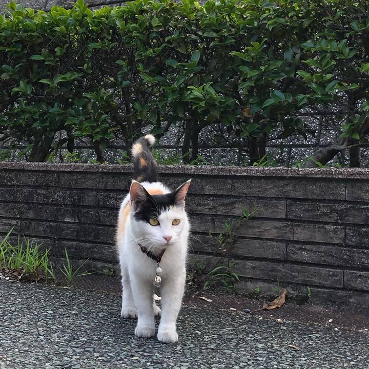 769fb07f 0731 4fcd 8f2e 7671052e7048 1624448098736