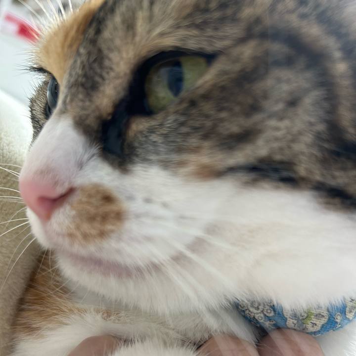 769fee66 211b 41aa b3e7 3cfe57591dcf 1761828651912