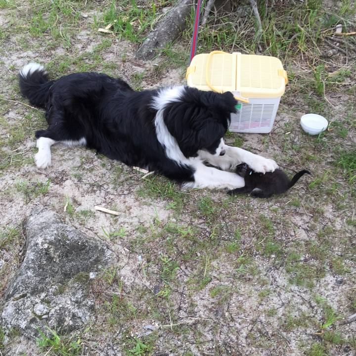 76a01f2f 4301 4d35 a293 910c97e1416f 1524460709226