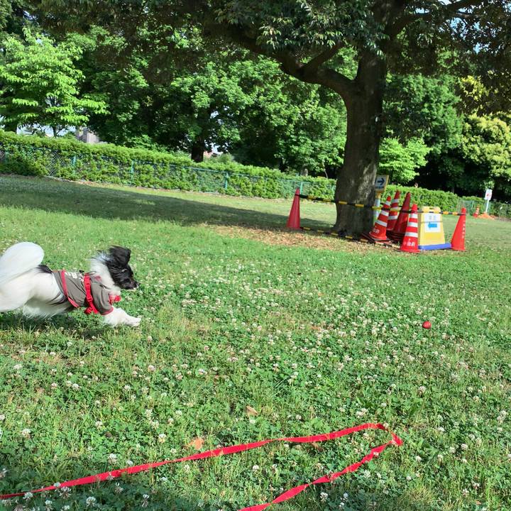 76a025a4 f7ef 48b8 bdc2 a4a1d856fea1 1559549321745