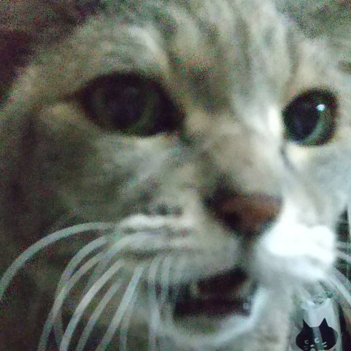 76a03765 3f1f 48cc ae7d c644a520c2aa 1670017361015