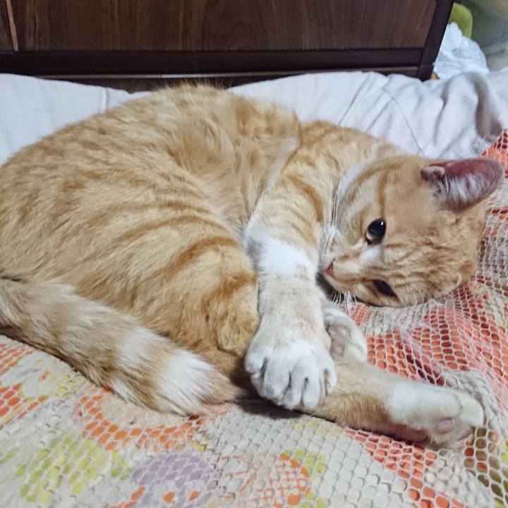 76a058f1 f83b 4f24 af30 89e83ab6af68 1585831987460