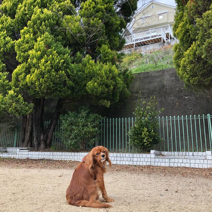 76a05cc7 6f4c 4d01 ab37 45861ad82a80 1578436068232