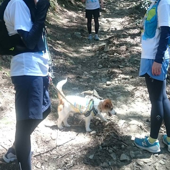 76a06062 23e8 4468 9662 c991b154bad8 1559999607749