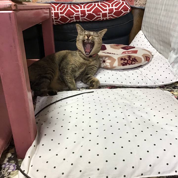 76a063c7 f98e 45cd 8830 ca4b58b6ca52 1596070017555