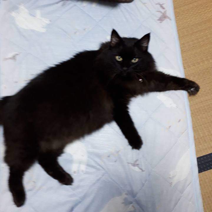 76a0d13d bacc 42a4 a046 46b3209a80c6 1516775762472