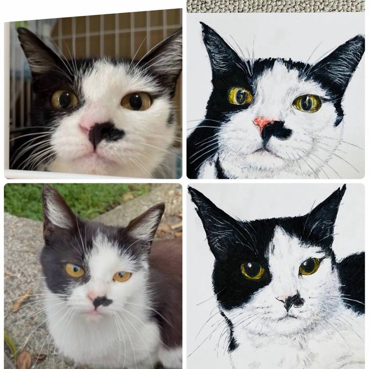 76a0e1cb 39e2 4556 b0fb 4786972e4e12 1773303939546