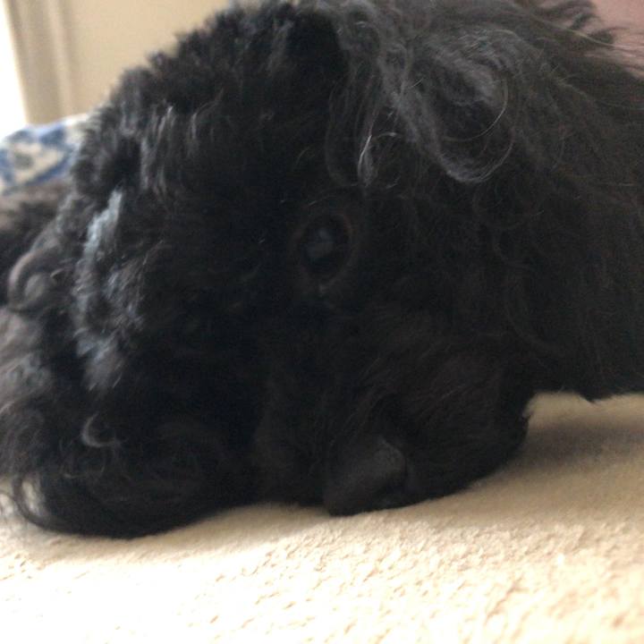 76a0e6d0 957d 4be5 abf2 8033bf459137 1540514524482