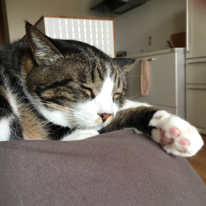 76a0ea9d 50a4 4a80 84ac 563334caff4b 1515811315149