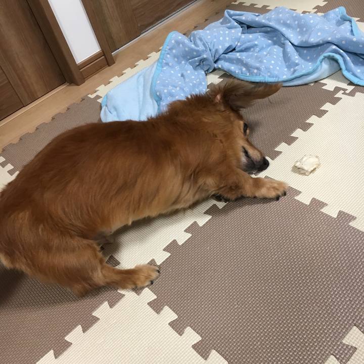 76a0ee2b f280 4bbe b917 3b18a7ade623 1568212112898