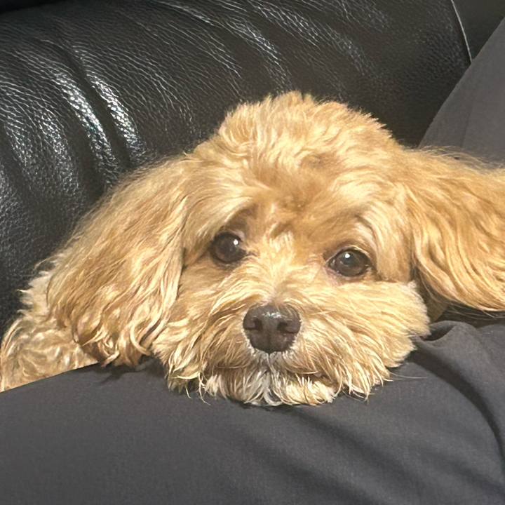 76a0f79c bec3 4ce4 8bc4 b9a7332529bf 1731727318672