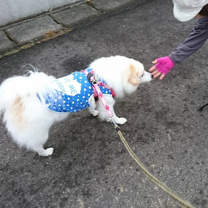 76a0fb0d 4d4b 4d07 9f3d e31e7f89e6aa 1508190333025