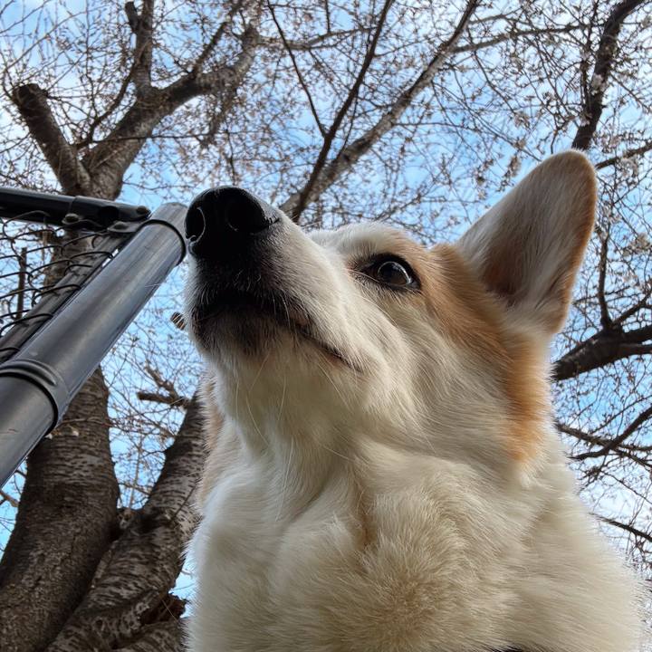 76a10ab1 1e78 4087 b6df 8a19d1c5c5bf 1774397432825