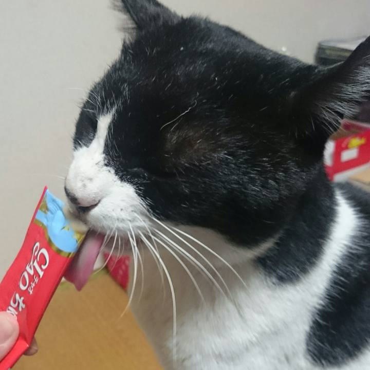 76a10ab5 7ece 45dd 9fe2 6f0fad570abf 1515665009715