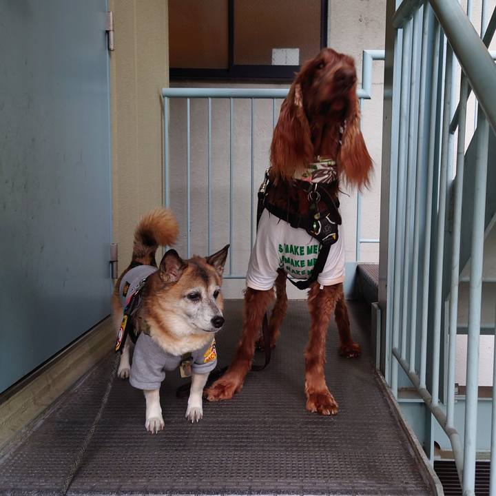 76a130f2 671c 4958 8819 40d33b24f466 1640937076871