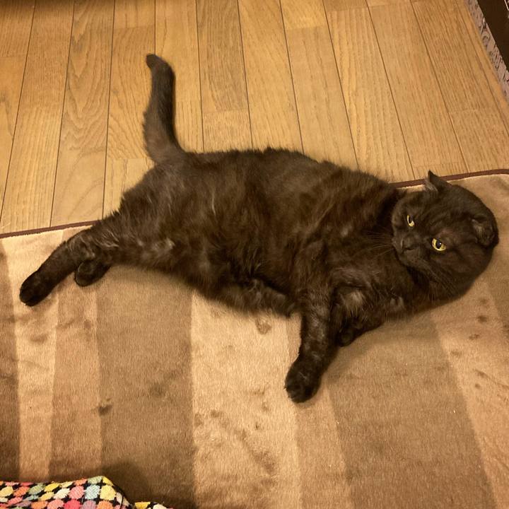 76a1346a 18c6 44cb 8cdc dac13bb99d83 1611492245833