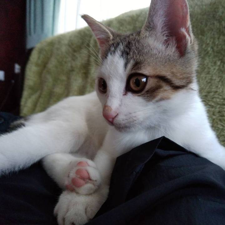 76a14260 bae4 4074 acaf 7291d35ac6e1 1637984951643