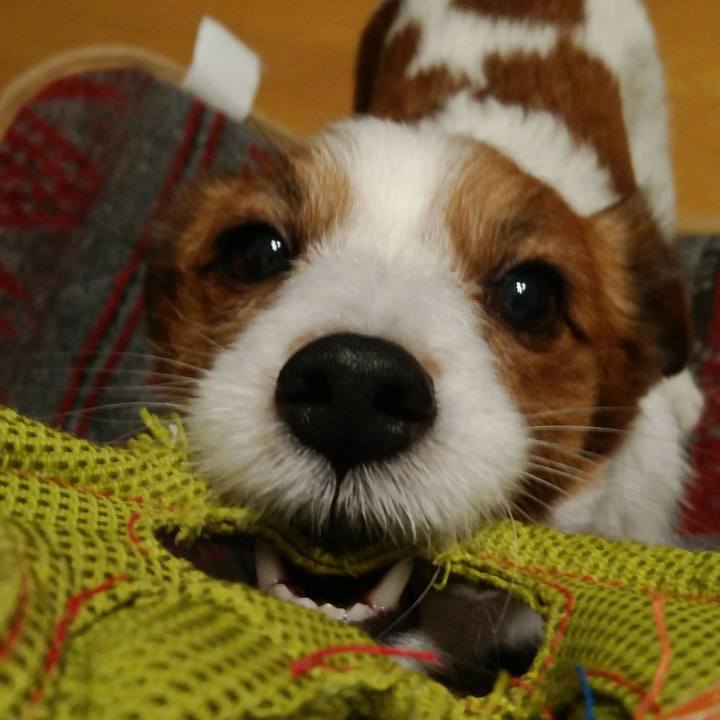 76a18d43 eb4a 47dc b577 84b3a169b249 1519081077482