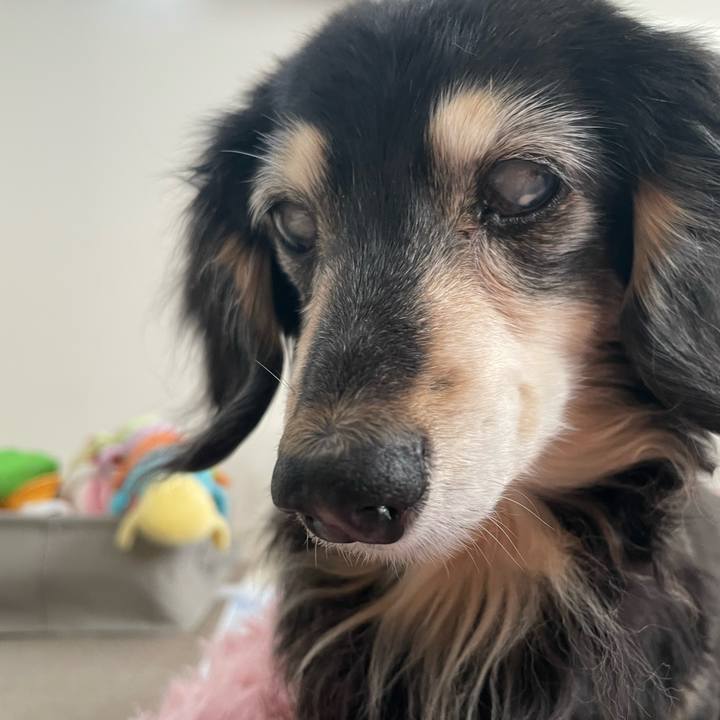 76a1a01e 1e1e 4529 bf1b ac48ca593365 1774063497951