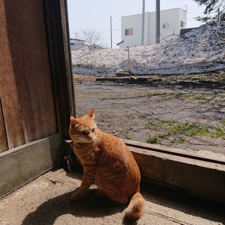 76a1b322 393b 4896 93b6 f0499129869b 1648177970076