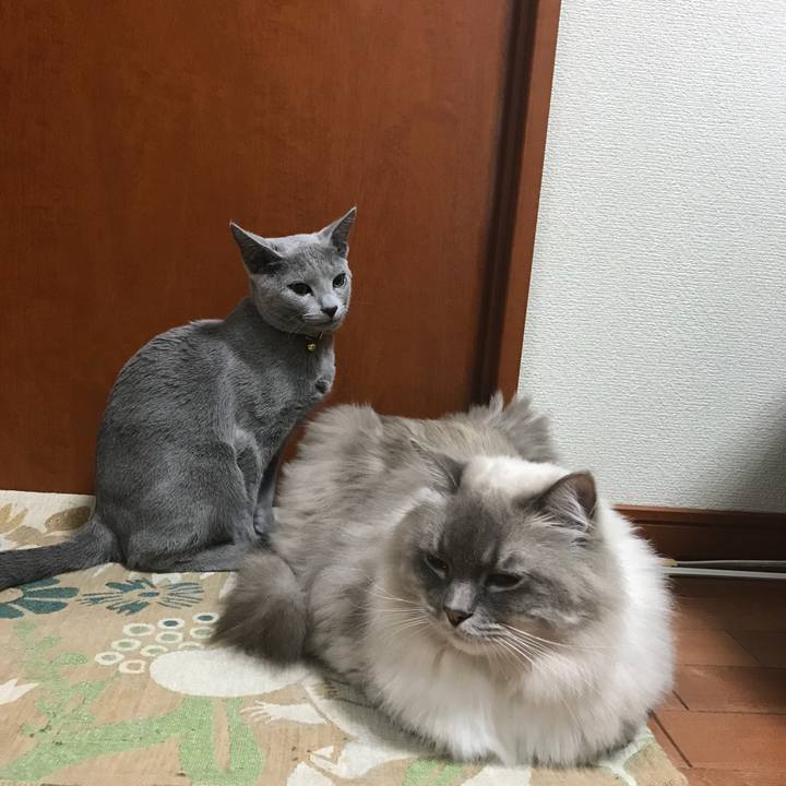 76a1d595 ef20 4d37 a526 3bd31001d99d 1512908801175