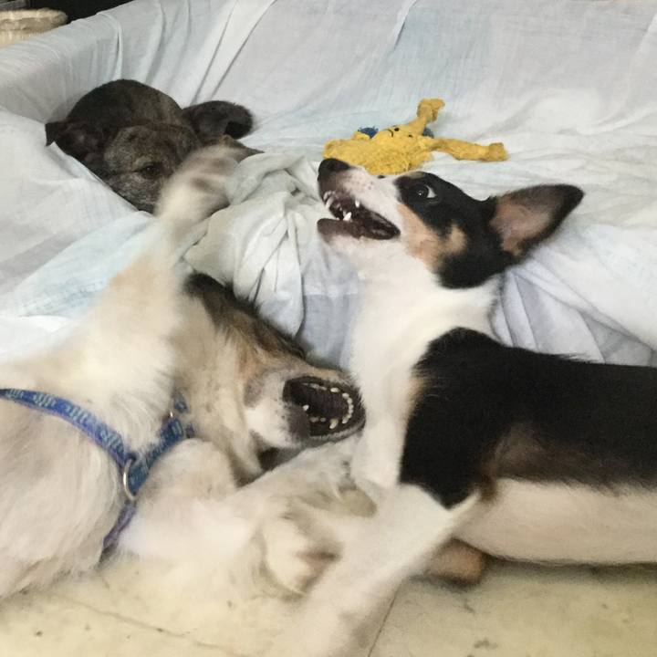 76a20734 7340 495e 8add aa8120af56d2 1565186661727