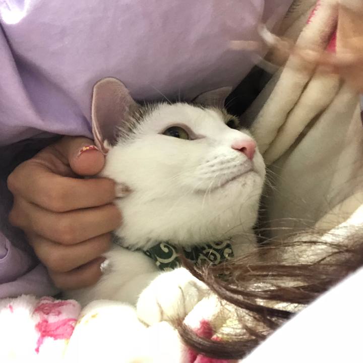 76a21339 cfe1 40bb bcfc f815a558786c 1540736548590