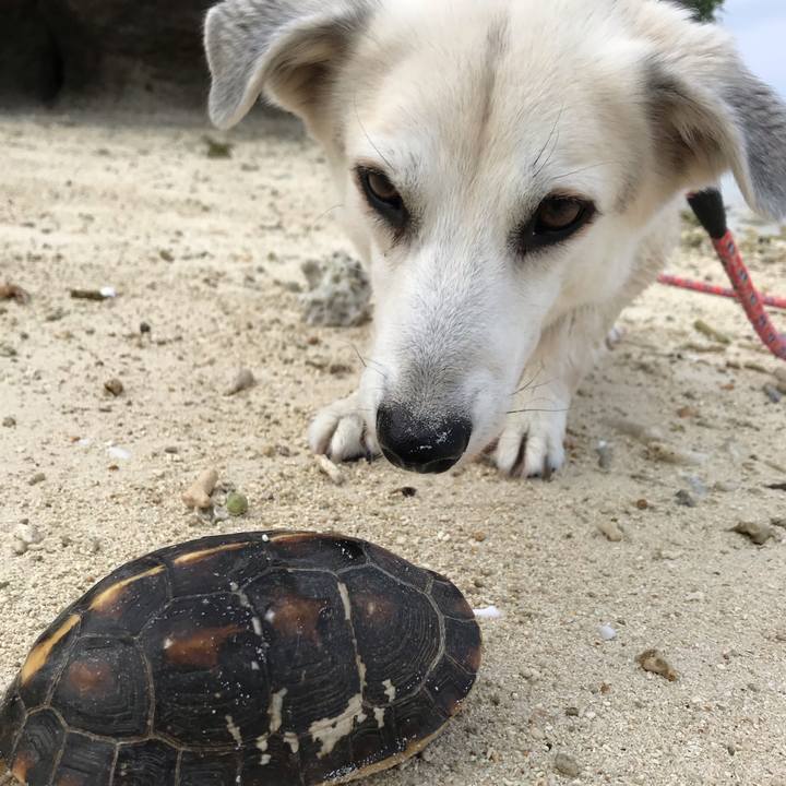 76a22598 75e5 41d5 a172 2c0594851df4 1584532325976