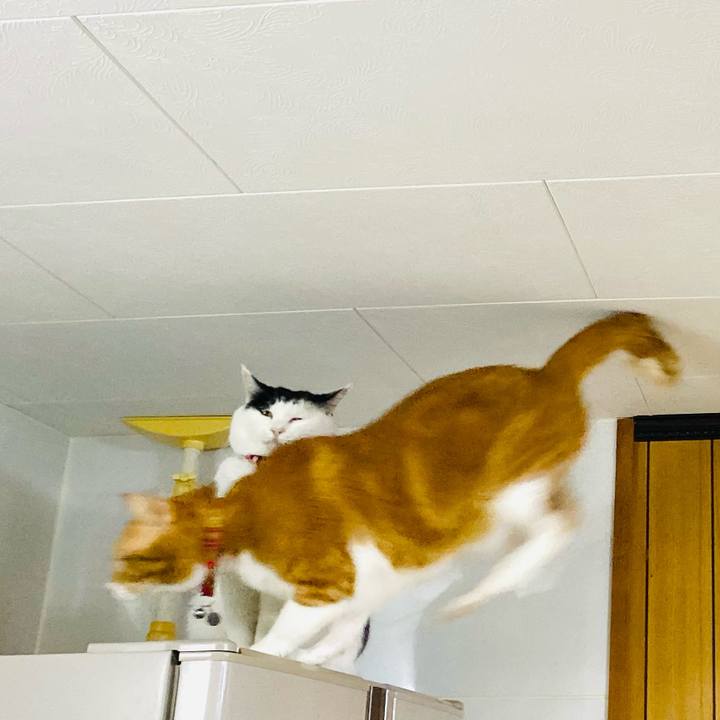 76a24436 afd8 43d3 be38 643b9b345a05 1733409994930