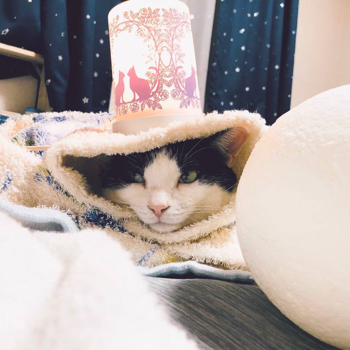 76a27582 ccd8 4479 b569 a0282fd09fd0 1532787443614