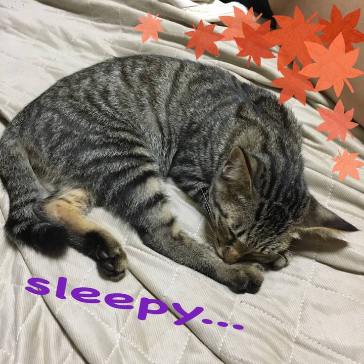 76a278f1 a479 445c 82a3 75117d6118b9 1536924036202