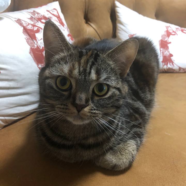 76a28e99 d5bb 457a aaa6 298915ce1c12 1622729241999