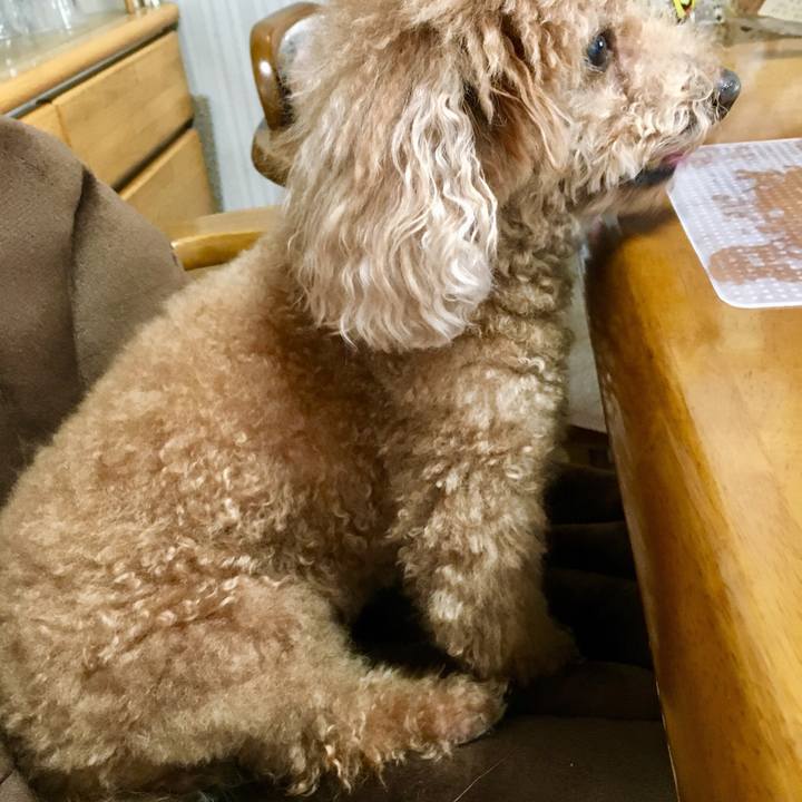 76a2c473 c17d 461f 9fbb 5868d815192c 1521171045116