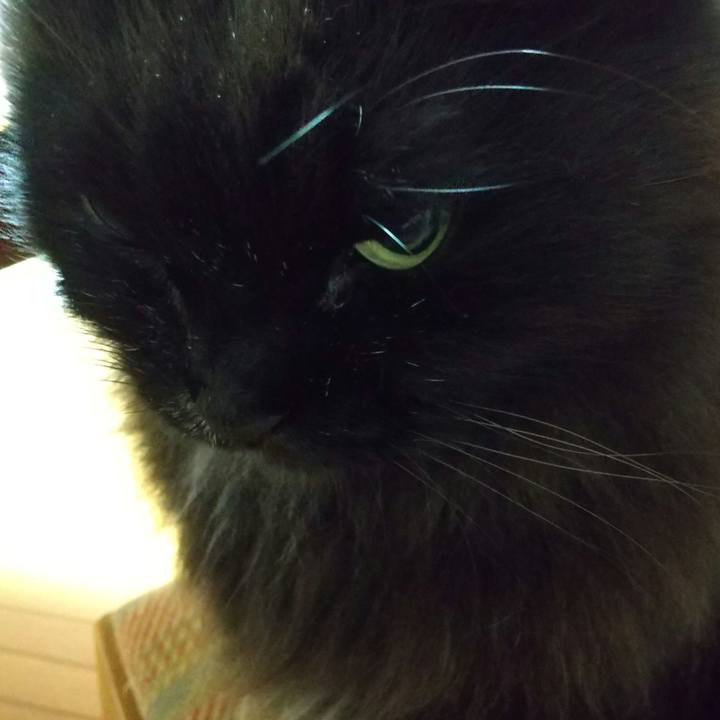 76a2d1fc 4fbe 4a42 b4f3 b17e394fa8bc 1685623834734