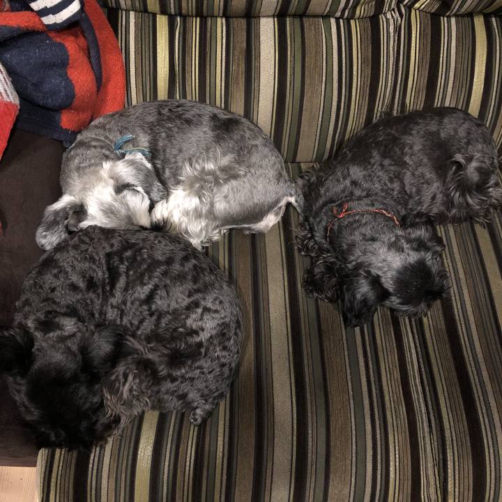 76a2d52d 542e 41b0 b198 4b323eb33e35 1585572450482