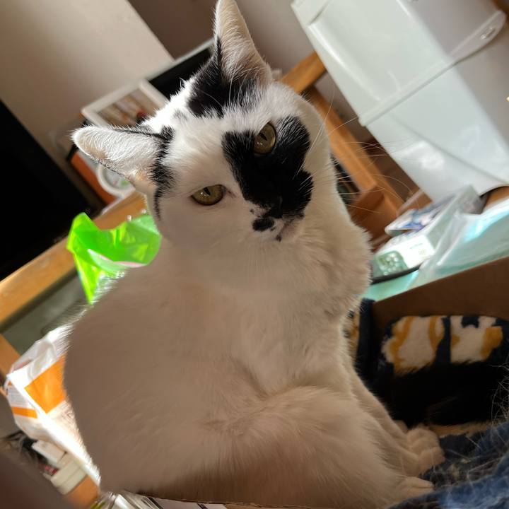 76a2dd40 7f81 4d26 ac39 b386bcb60443 1769377796570