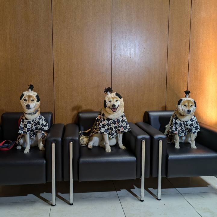 76a2e1d2 d7c7 465a 99e2 81e7a90b6a4e 1720329034256