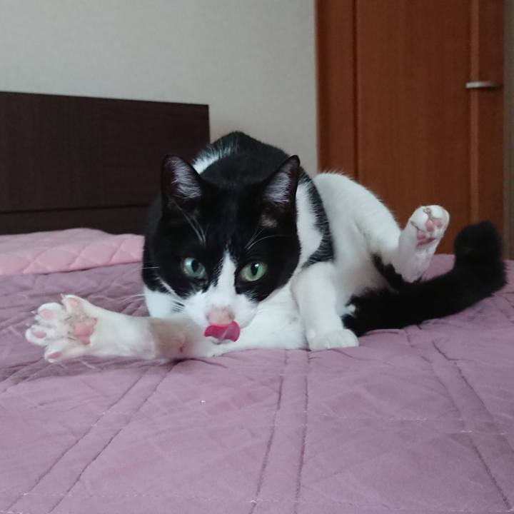 76a2edbb 452b 484d 9579 45dad8ca27f5 1650672841116