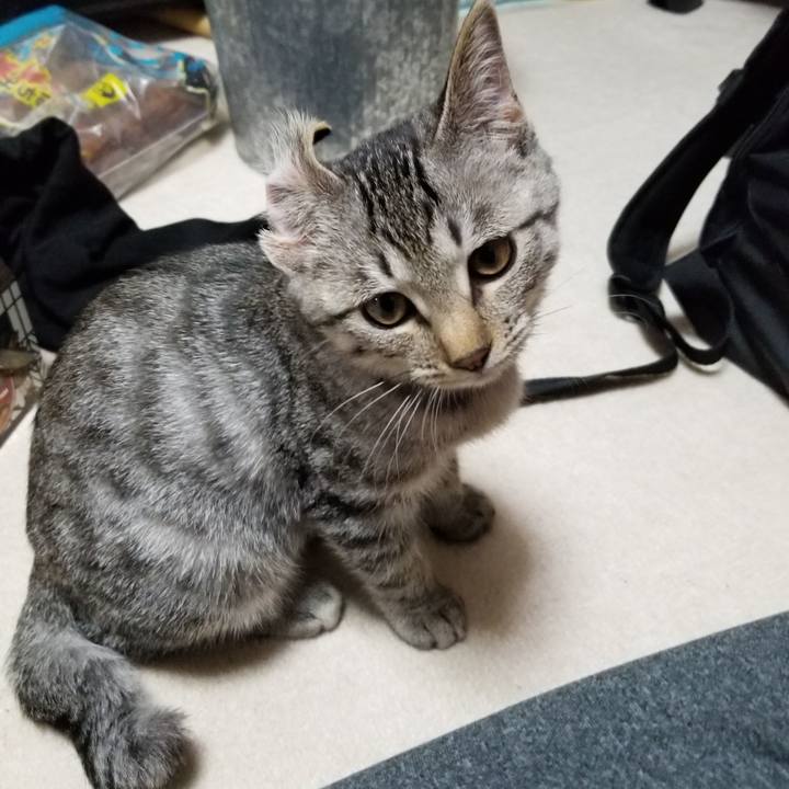 76a32bc1 467a 49a6 b075 08ceed1583cb 1667354681876