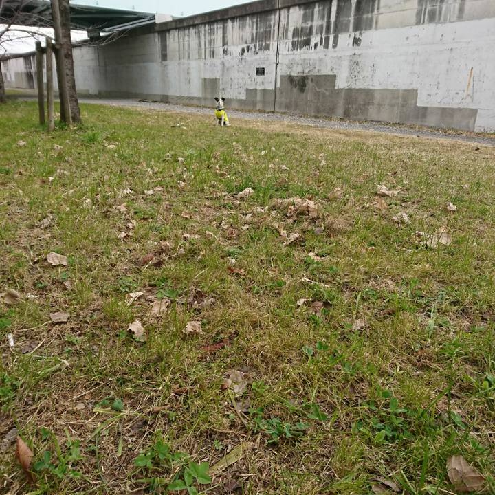 76a35911 3872 482c 8258 1dfe59f35c42 1516405800584