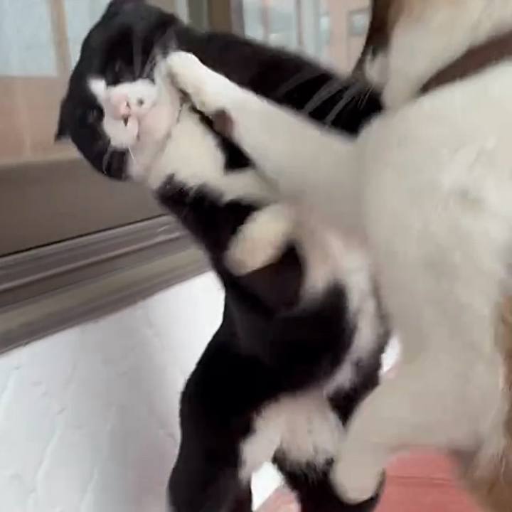 76a362c1 33db 448f 9e80 212d44e9cba8 1744855732096