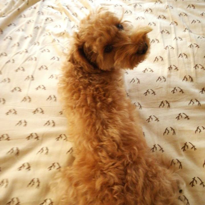 76a3821c ca0e 4464 b0a7 6bcda90be591 1527805812732