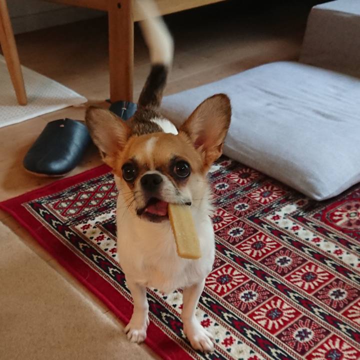 76a3cde5 0a31 4063 af66 cc3d43f8967f 1564880297464